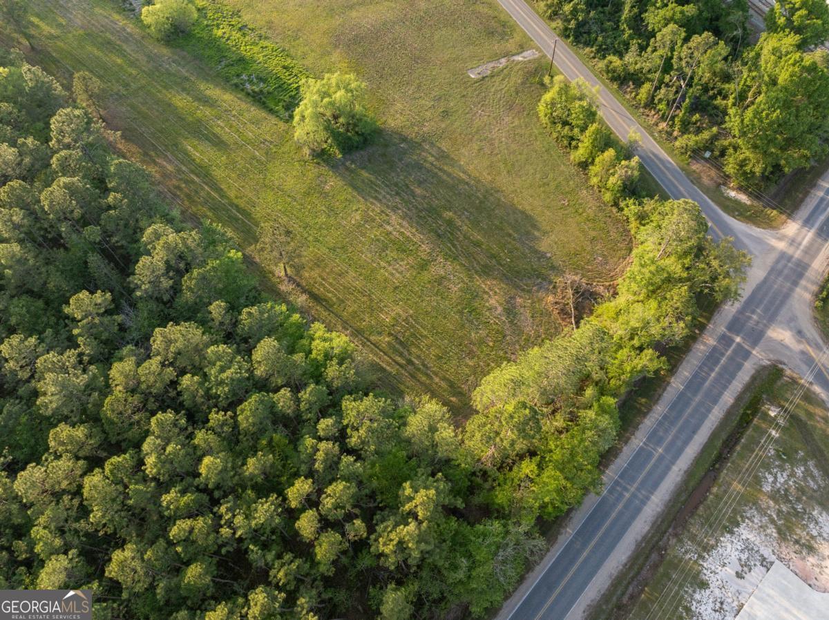 0 Anthony Street Baxley, GA 31513 - Photo 8 of 13