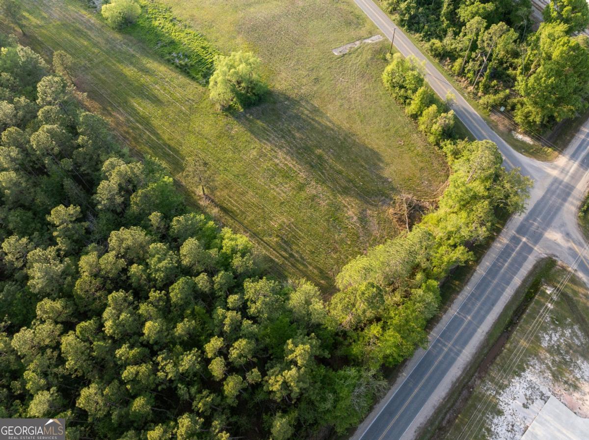 0 Anthony Street Baxley, GA 31513 - Photo 9 of 13