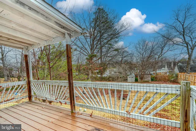 a view of backyard and tree