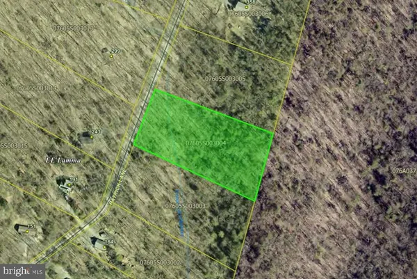 a green field with lots of bushes