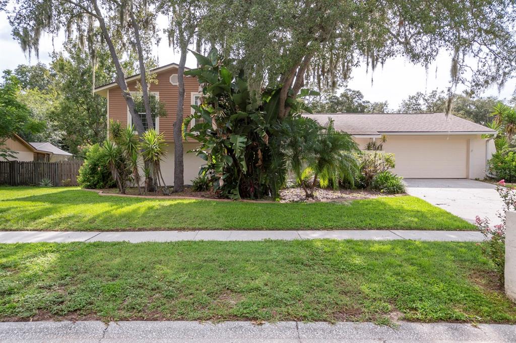 3909 Rosedale Drive Brandon, FL 33511 - Photo 1 of 1 Gallery Image 1