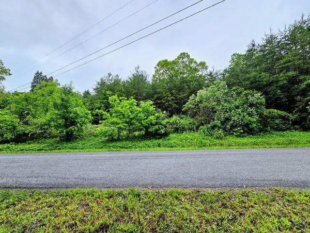 0 Racking Horse Lane New Castle, VA 24127 - Photo 1 of 1 Racking Horse land