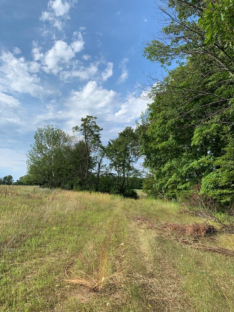 Tbd Lost Lake Road Egg Harbor, WI 54209 - Photo 9 of 29