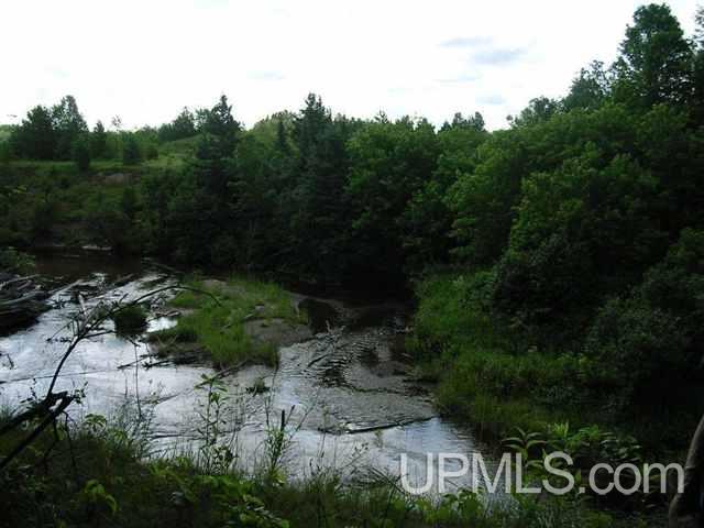 Tbd Gold Canyon Road Pelkie, MI 49958 - Photo 8 of 9