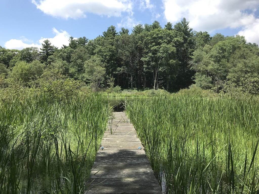 25 Smith Street Dover, MA 02030 - Photo 39 of 39 a view of a garden