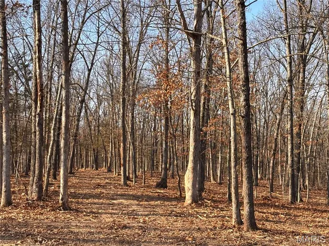 $107,450 | Lot 7 Klausmeier Trail, Wright City, MO 63390
