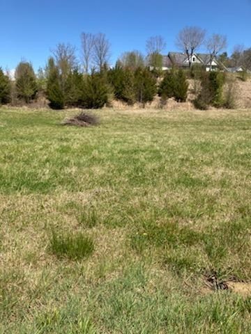 1654 Waldens Creek Road Pigeon Forge, TN 37862 - Photo 7 of 8
