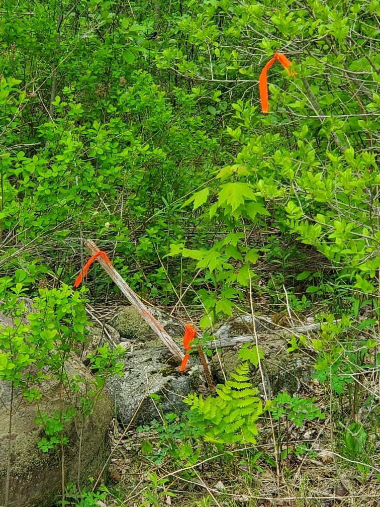 77 South Princeton Road Alexander, ME 04694 - Photo 2 of 31 rerod at SW corner by road
