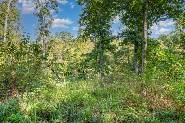 $549,990 | 2414 Highway 48 North, Dickson, TN 37055