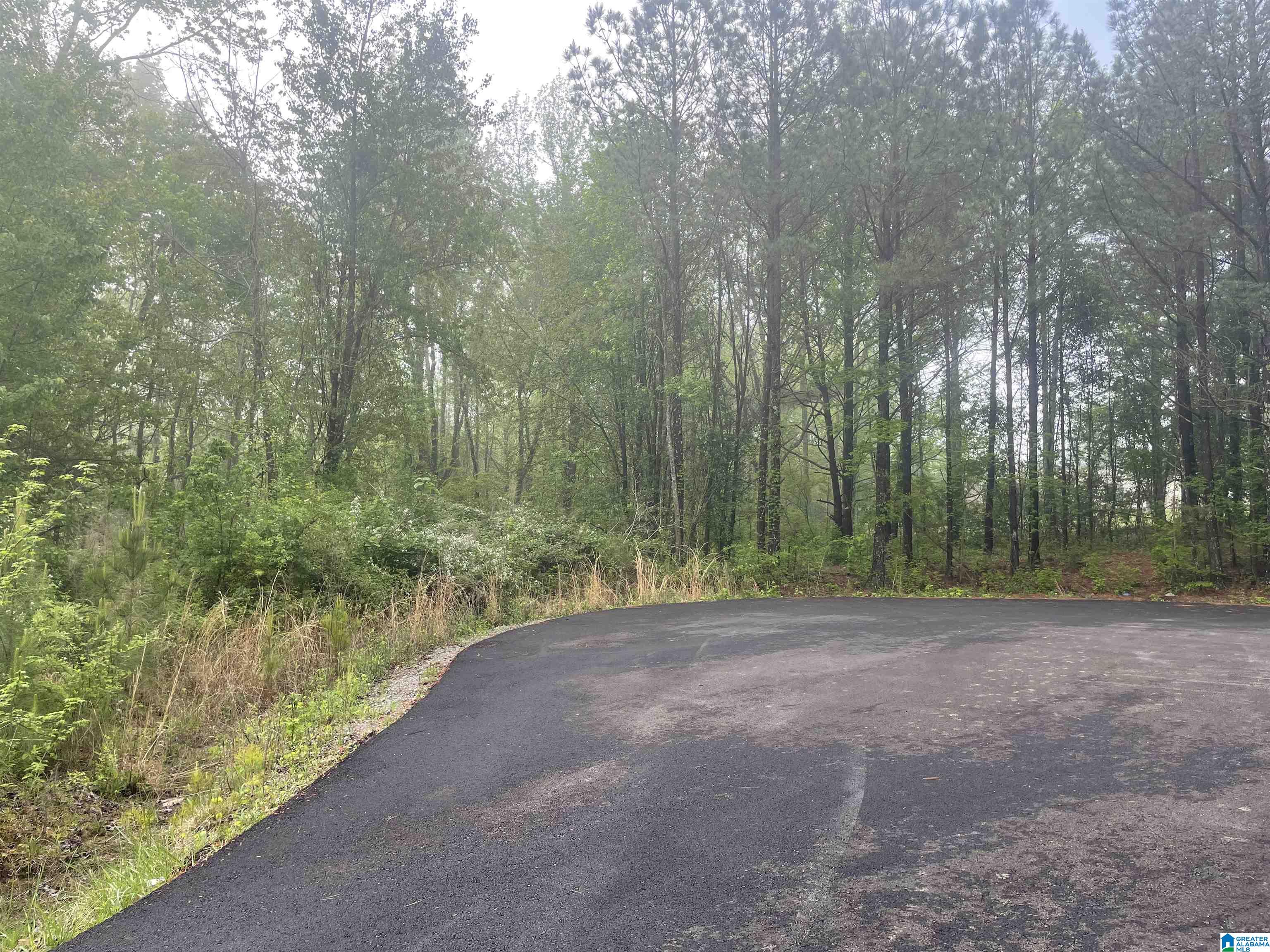 Courtney Drive, Unit 14 Eva, AL 35621 - Photo 2 of 3