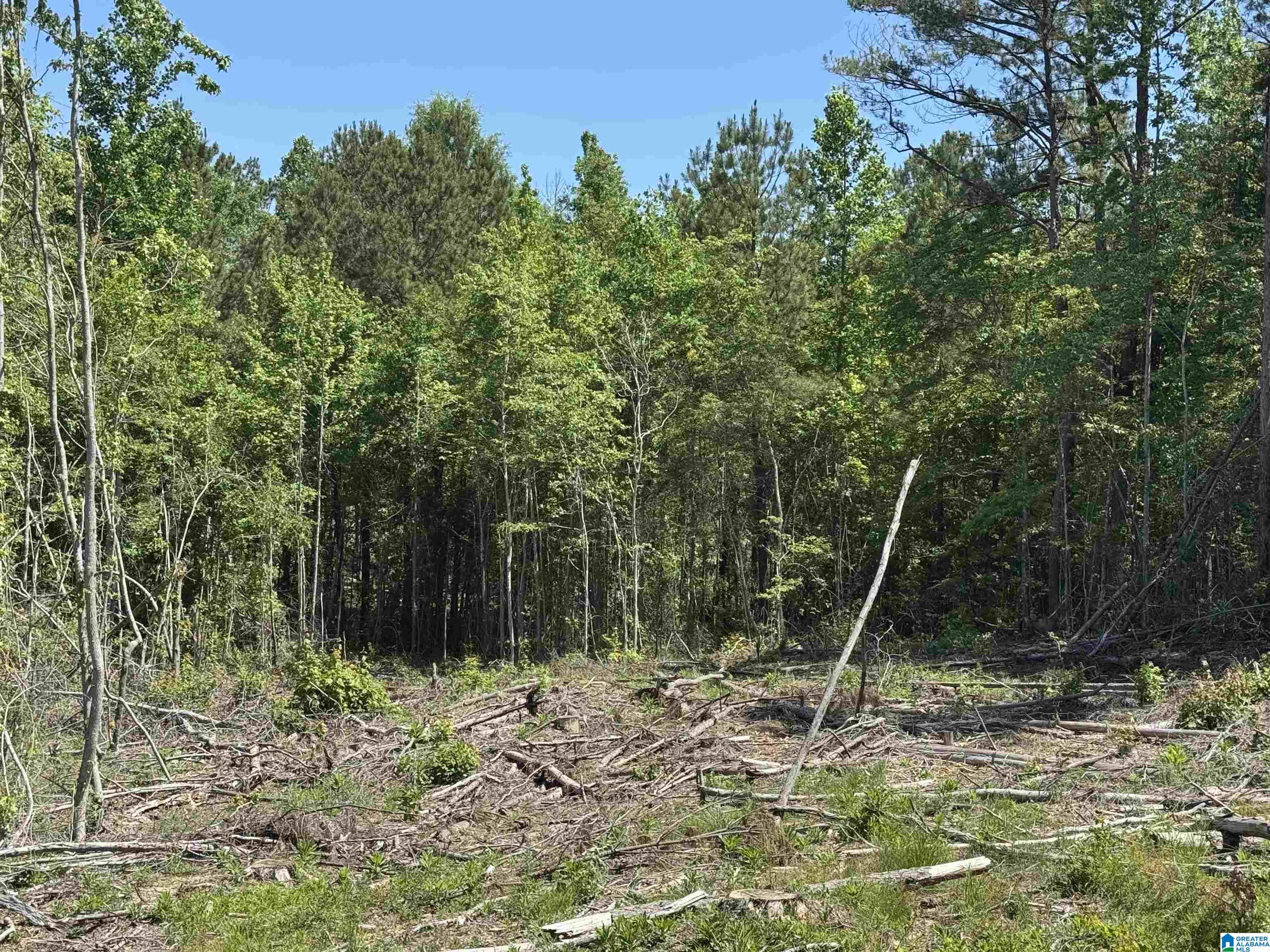 Active Road, Unit 4 Lawley, AL 36793 - Photo 8 of 12