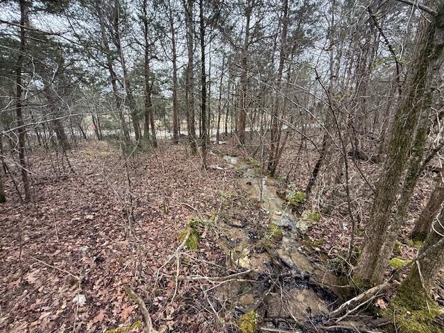 790 Rd Bronston Key Bronston, KY 42518 - Photo 24 of 27 image12