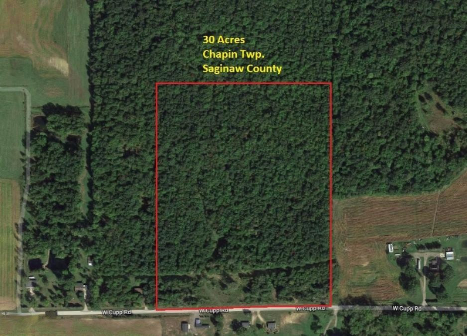 West Cupp Road Elsie, MI 48831 - Photo 1 of 22 DoyleSaginawCo30-Aerial
