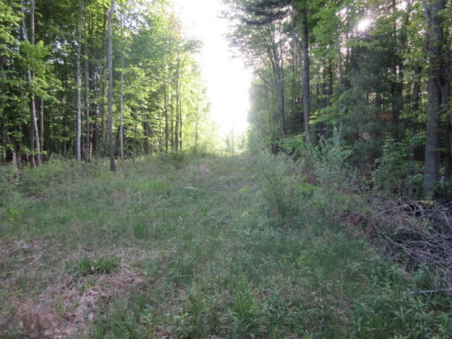 West Cupp Road Elsie, MI 48831 - Photo 20 of 22 IMG_3459
