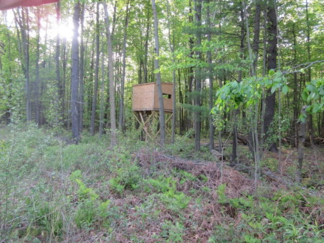 West Cupp Road Elsie, MI 48831 - Photo 21 of 22 IMG_3461