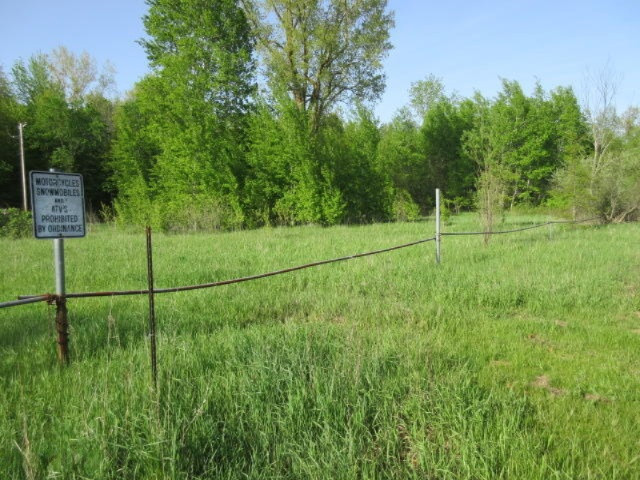 West Cupp Road Elsie, MI 48831 - Photo 3 of 22 IMG_3414