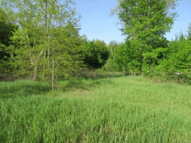 West Cupp Road Elsie, MI 48831 - Photo 4 of 22 IMG_3416