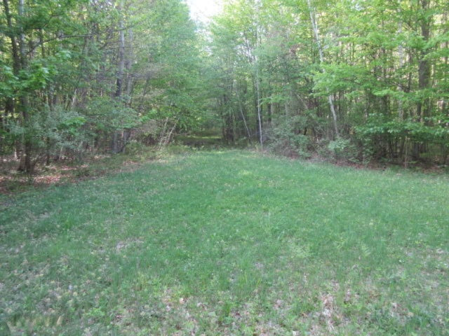 West Cupp Road Elsie, MI 48831 - Photo 6 of 22 IMG_3420