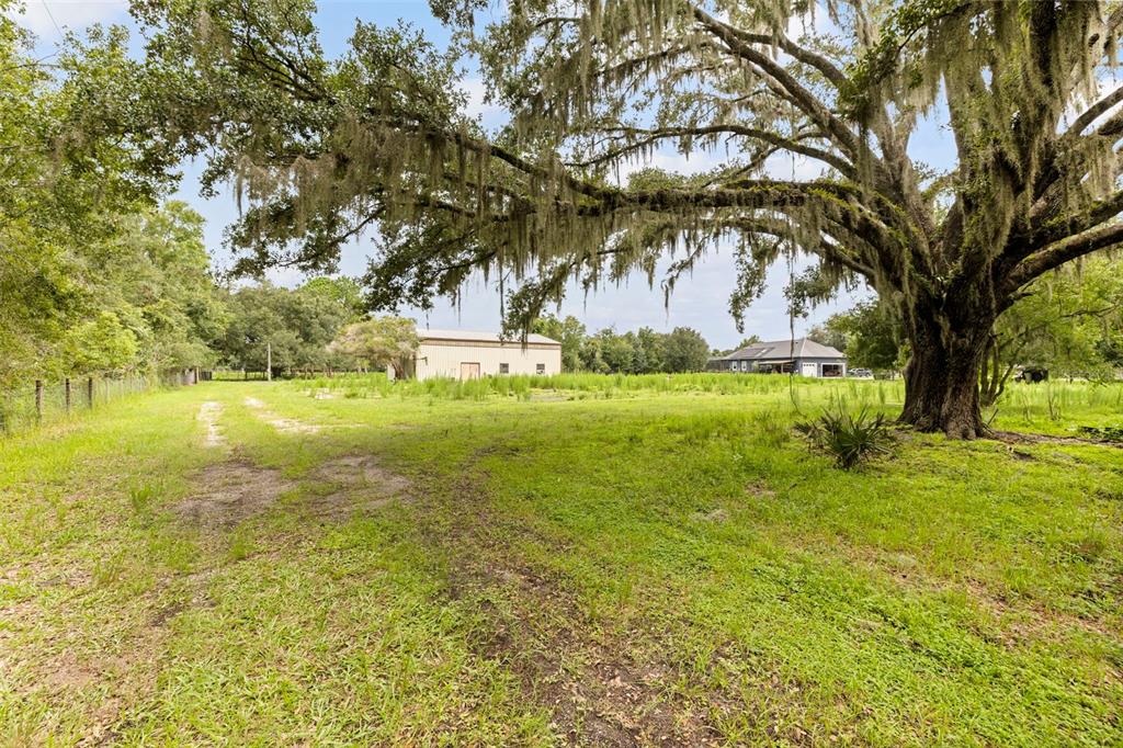 6930 Muck Pond Road Seffner, FL 33584 - Photo 20 of 30 Gallery Image 20