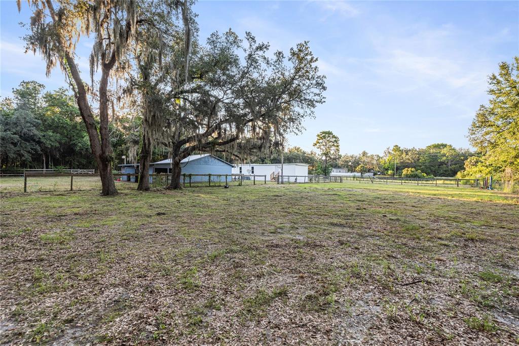 6455 West Cardinal Street Homosassa, FL 34446 - Photo 7 of 38 a view of a green field