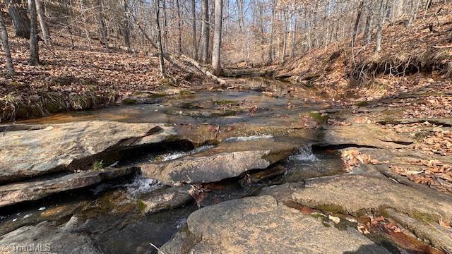 0 Jim McKinney Road Pinnacle, NC 27043 - Photo 3 of 23