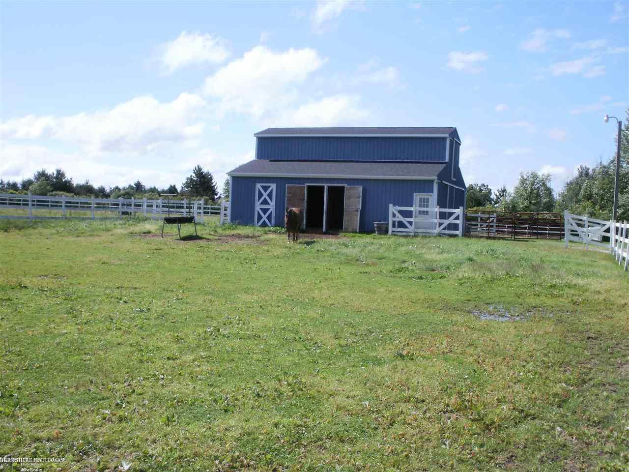 55 West Wellman Line Road Yale, MI 48097 - Photo 10 of 14