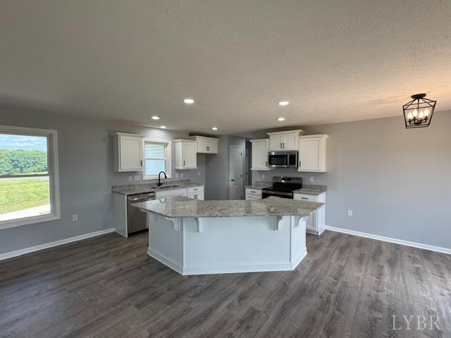 1839 Horseshoe Road Appomattox, VA 24522 - Photo 11 of 24