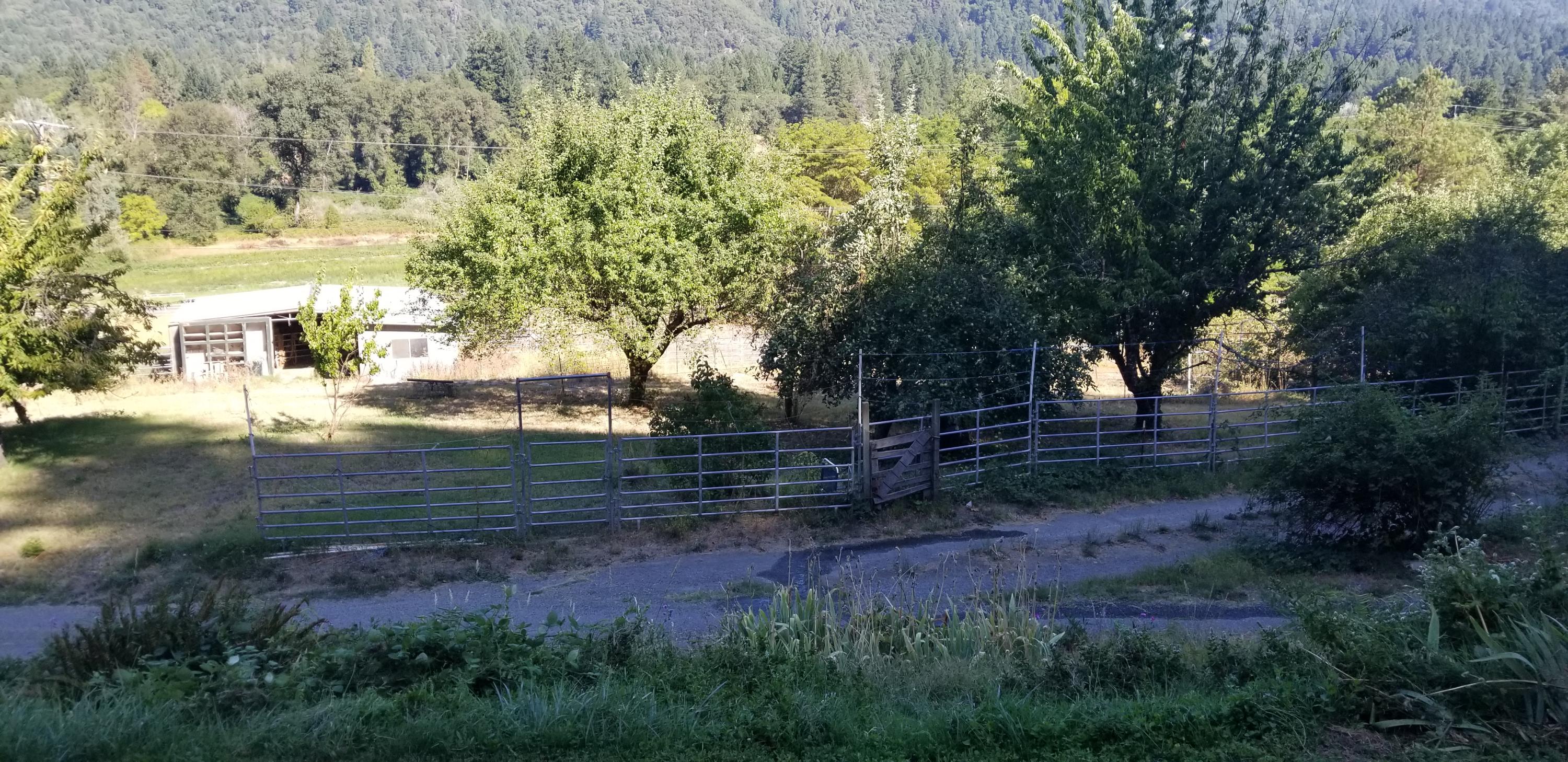 2900 Highway 96 Willow Creek, CA 95573 - Photo 27 of 51