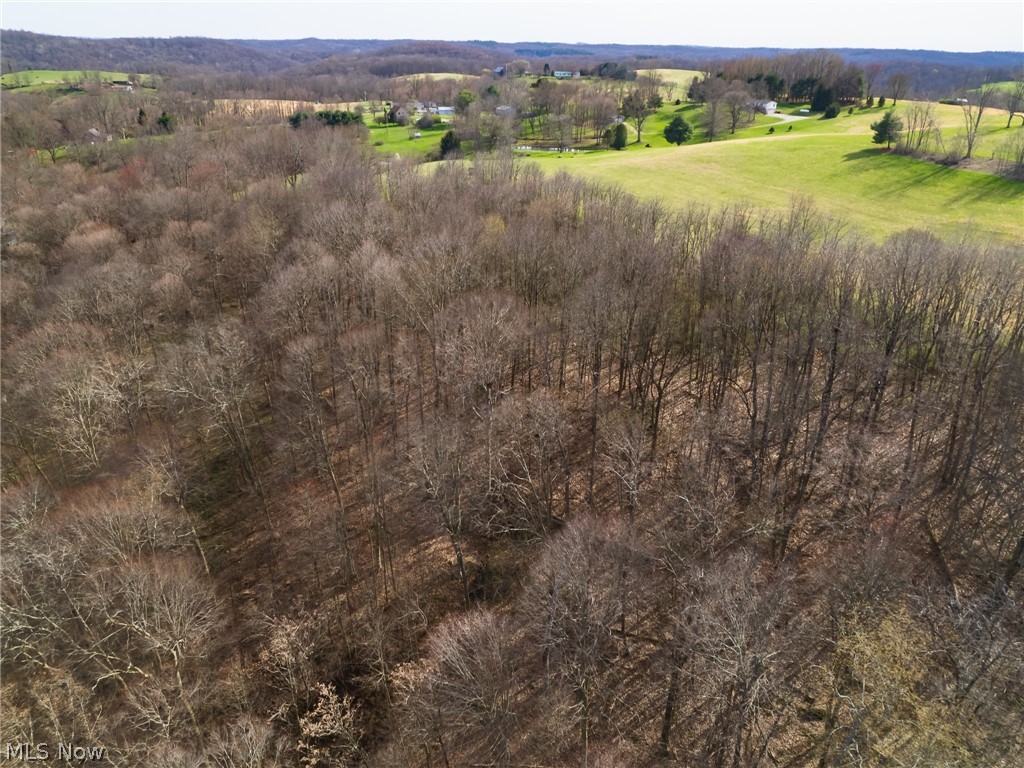 14363 Freedom Road Kimbolton, OH 43749 - Photo 23 of 35