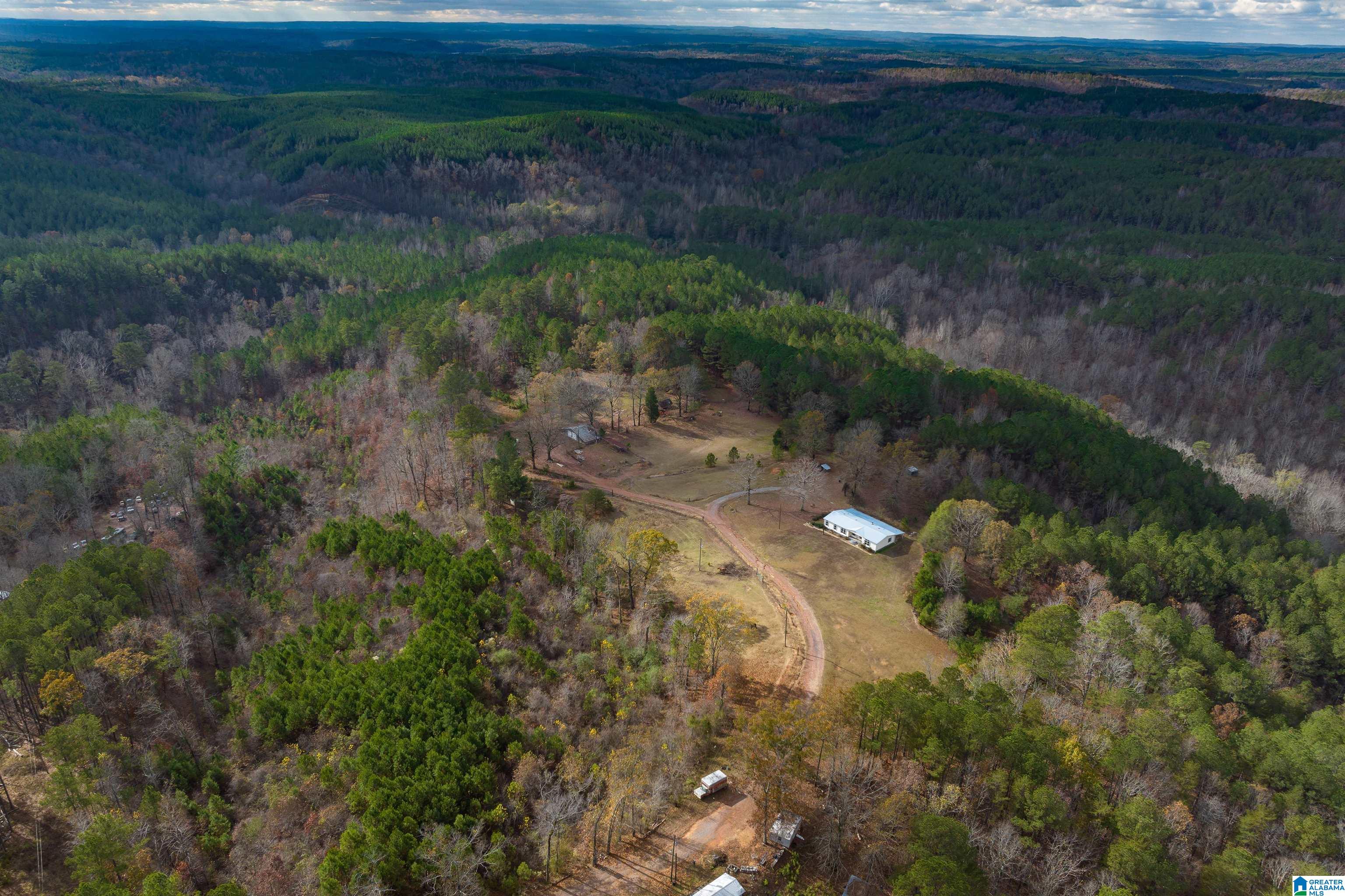 2930 Pridmore Road Quinton, AL 35130 - Photo 2 of 46