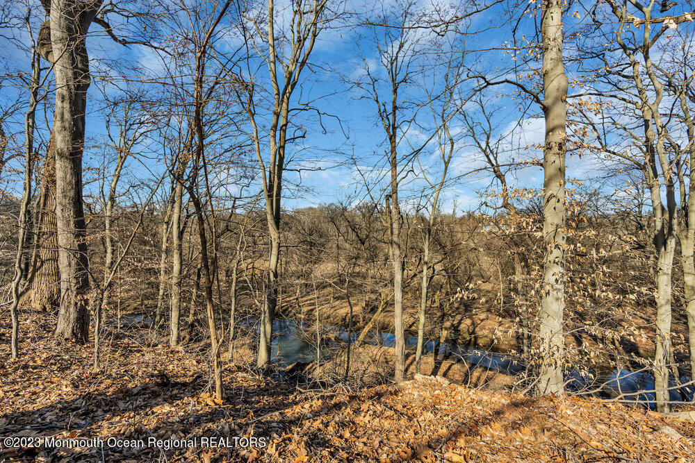 35 Pilgrim Way Colts Neck, NJ 07722 - Photo 43 of 44 066_dsc02563