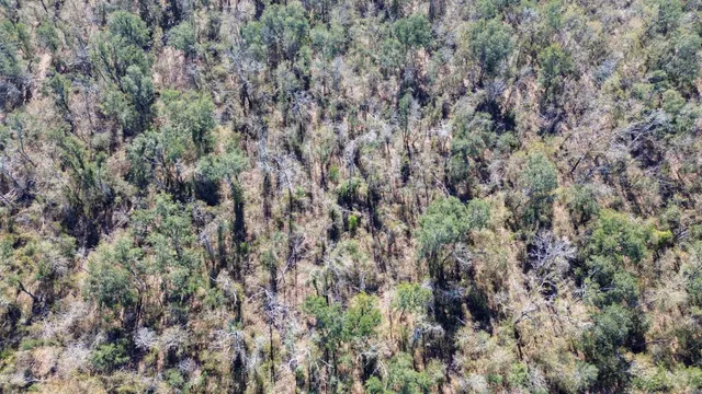 $53,000 | 0 Southeast Kachina Street, Lee, FL 32059