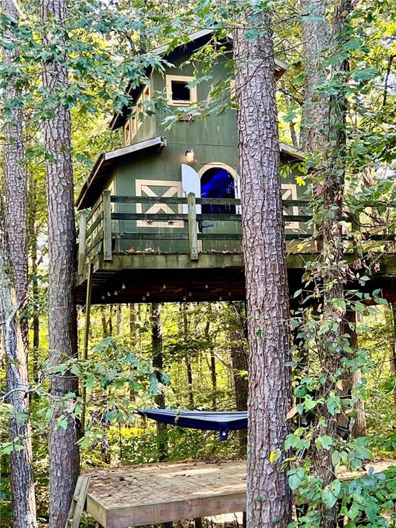 1020 Old Lathemtown Road Canton, GA 30115 - Photo 55 of 75