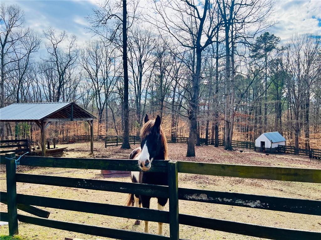 1020 Old Lathemtown Road Canton, GA 30115 - Photo 59 of 75