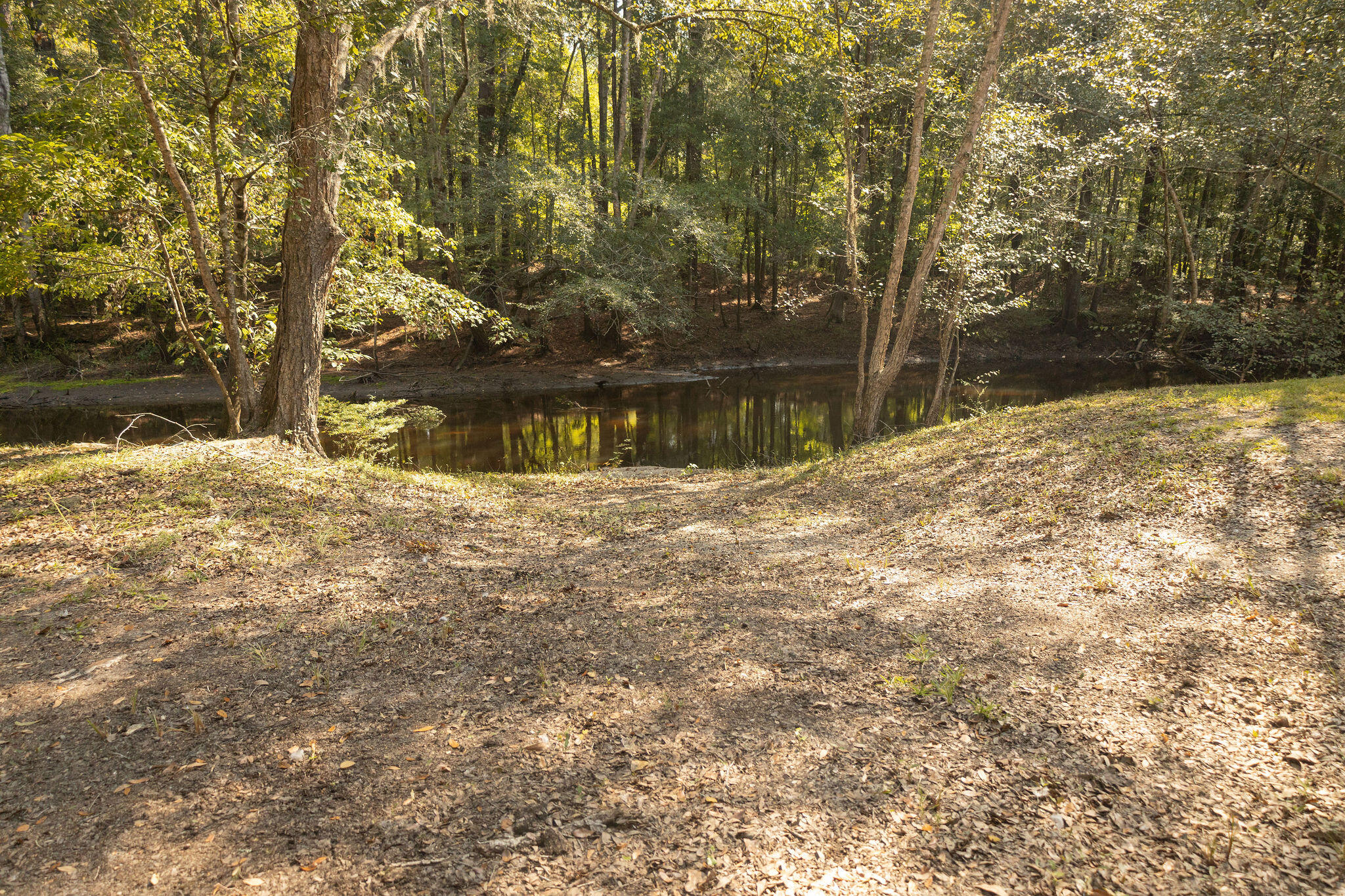 88 Turtle Court Ridgeville, SC 29472 - Photo 31 of 36 3T6A4784