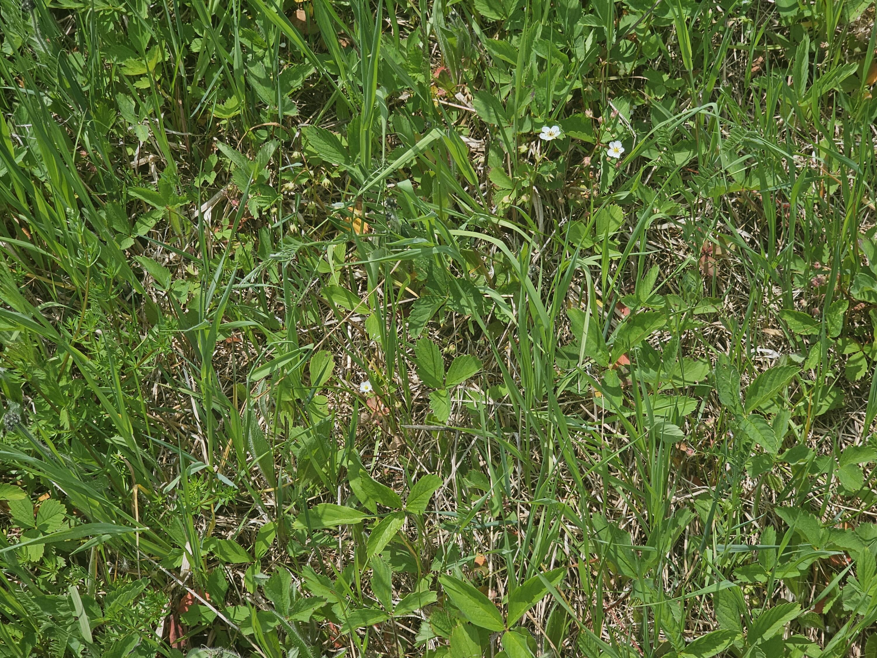 285 Retreat Road Hersey, ME 04747 - Photo 19 of 45 20260606_115936