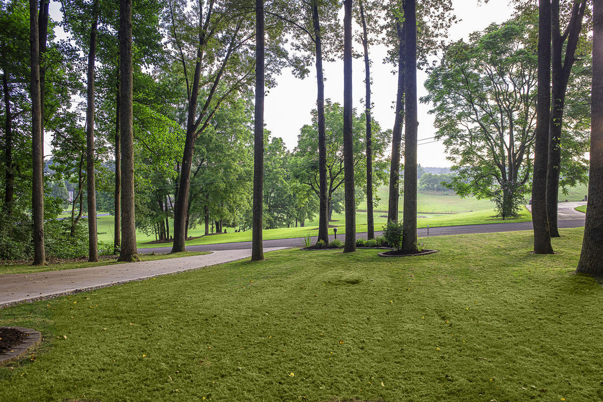 701 Indian Cave Road Monticello, KY 42633 - Photo 12 of 49 _WNU7959