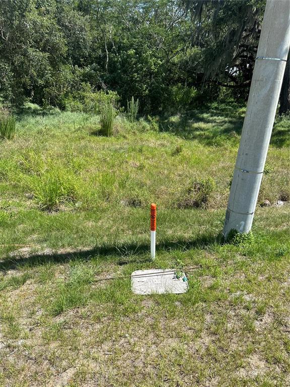 0 Simpson Road Kissimmee, FL 34743 - Photo 2 of 8 a view of a garden with a bench