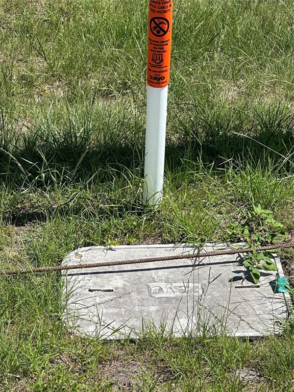 0 Simpson Road Kissimmee, FL 34743 - Photo 5 of 8 a white house with lots of green space and plants