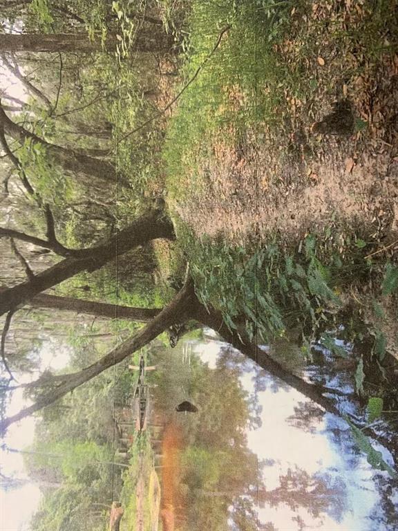 0 Simpson Road Kissimmee, FL 34743 - Photo 7 of 8 a view of a yard