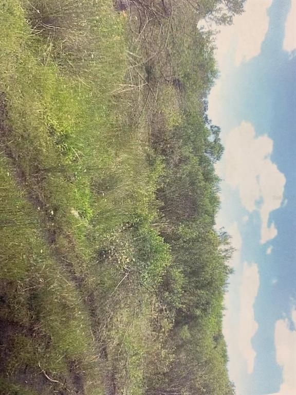 0 Simpson Road Kissimmee, FL 34743 - Photo 8 of 8 a close up of a white marble wall