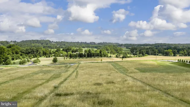 a view of yard with swimming pool and green space