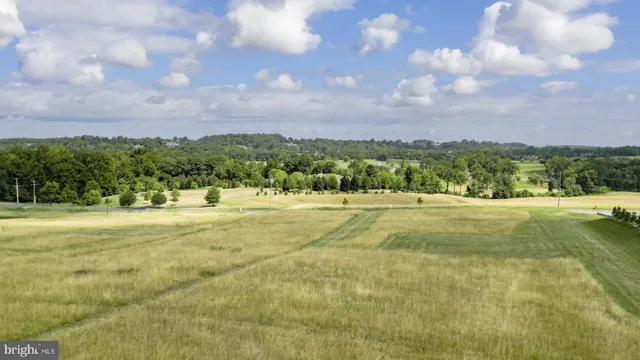 a view of yard with swimming pool and trees in the background
