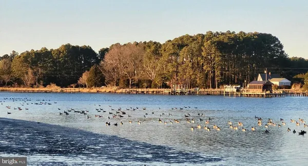 a view of a lake with houses