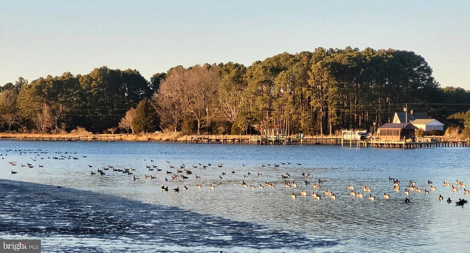 24171 Adelaide Street Parksley, VA 23421 - Photo 34 of 40 a view of a lake with houses