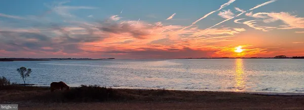 a view of a lake from a yard