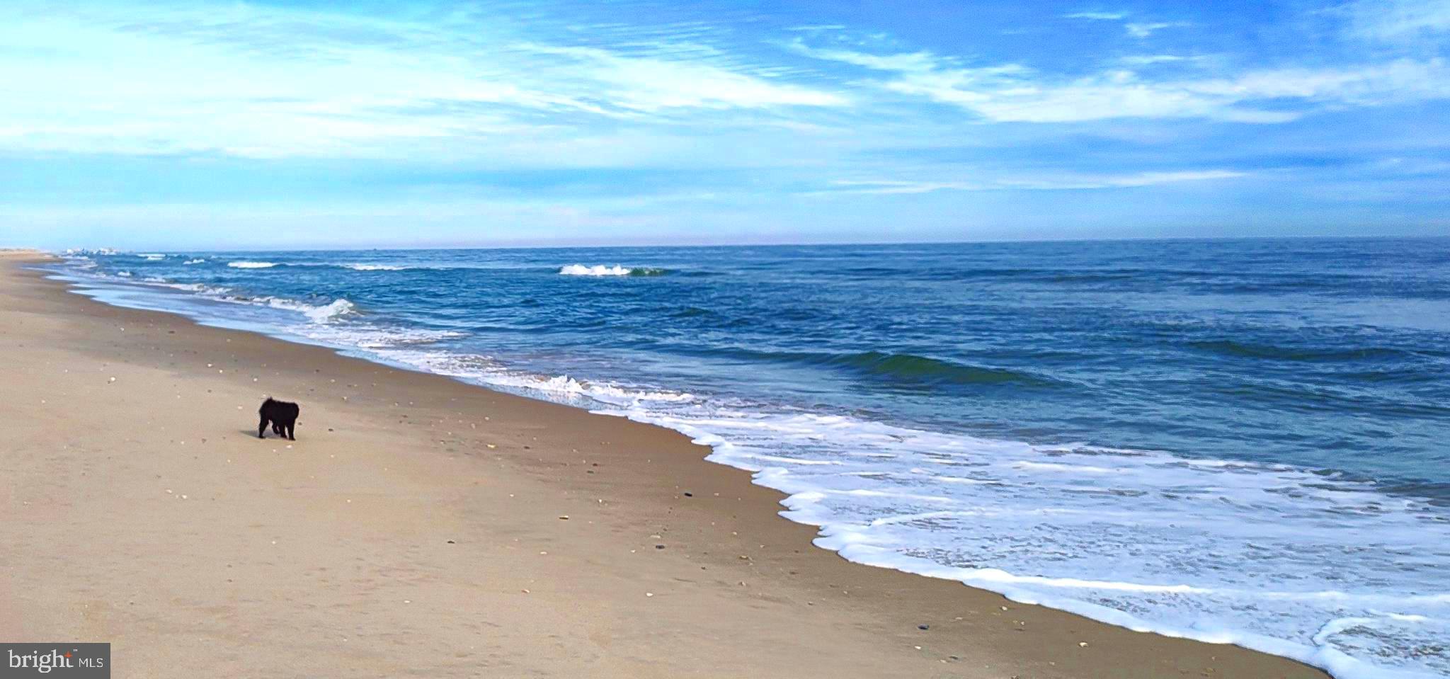 24171 Adelaide Street Parksley, VA 23421 - Photo 39 of 40 a view of an ocean beach