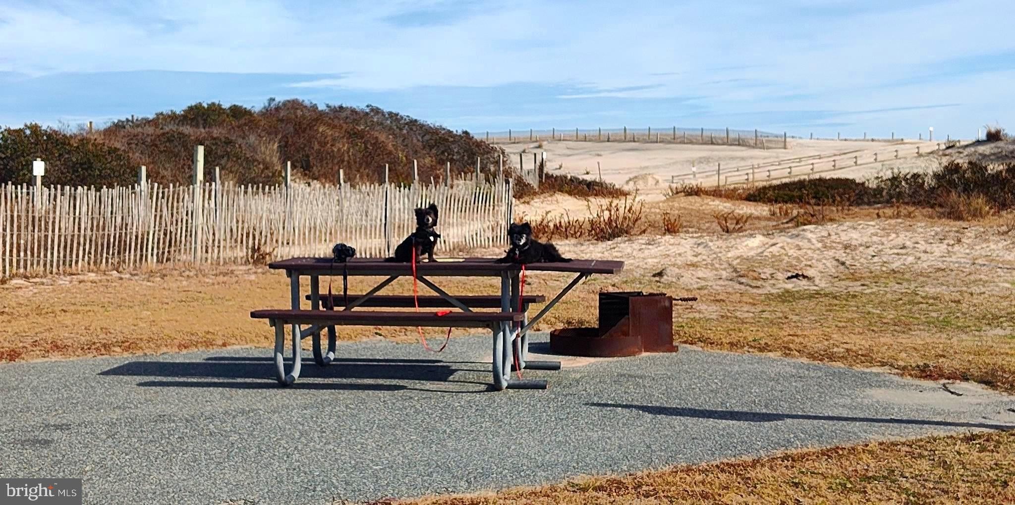 24171 Adelaide Street Parksley, VA 23421 - Photo 40 of 40 a view of a ocean with a table and chairs