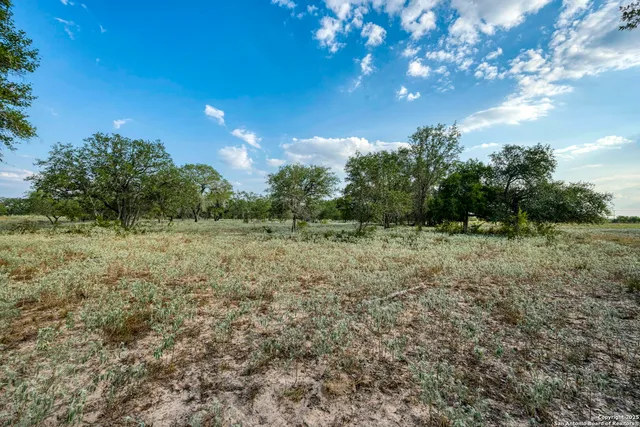 a view of open space with trees