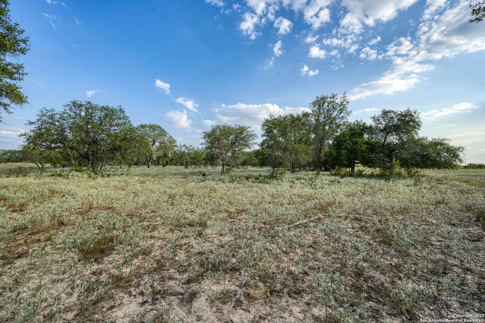 2605 Schuttig Road Pleasanton, TX 78064 - Photo 20 of 35 a view of outdoor space with deck and yard